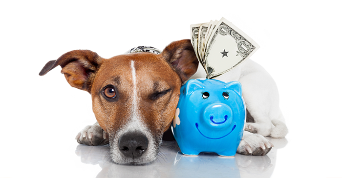 dog-piggy-bank-mobile